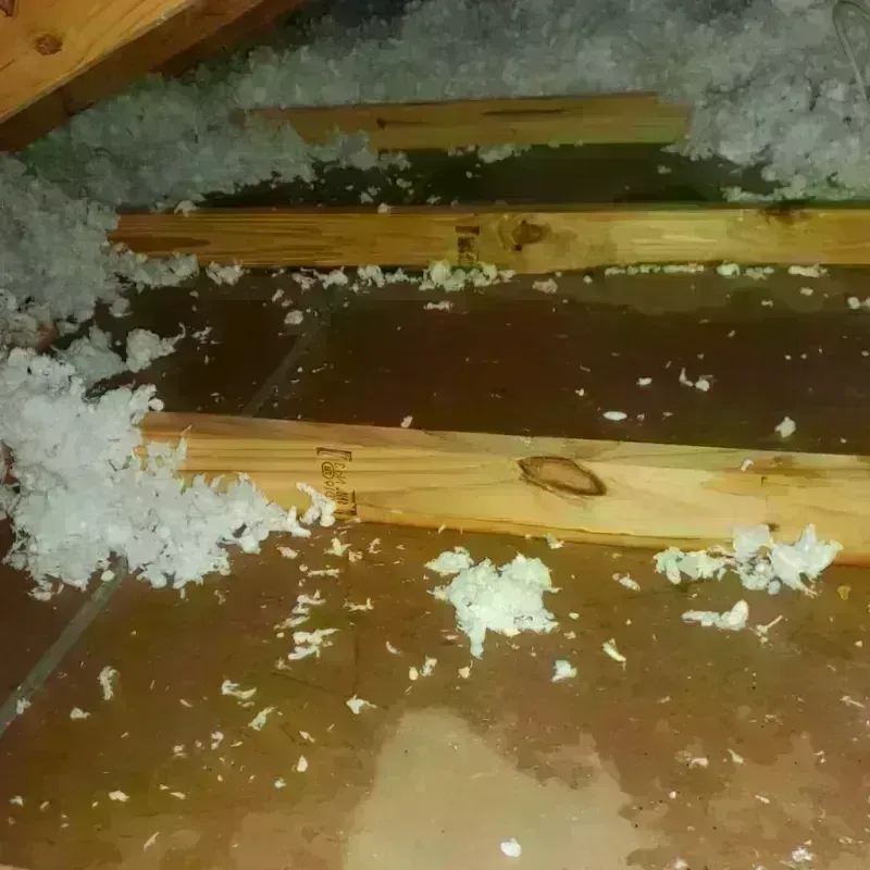 Attic Water Damage in Lawson, MO