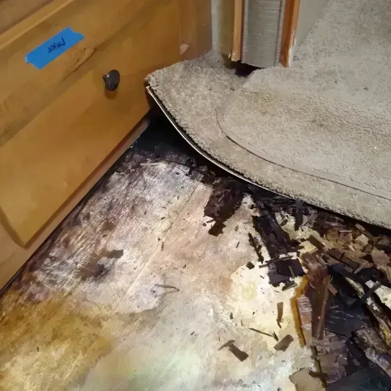 Wood Floor Water Damage in Lawson, MO